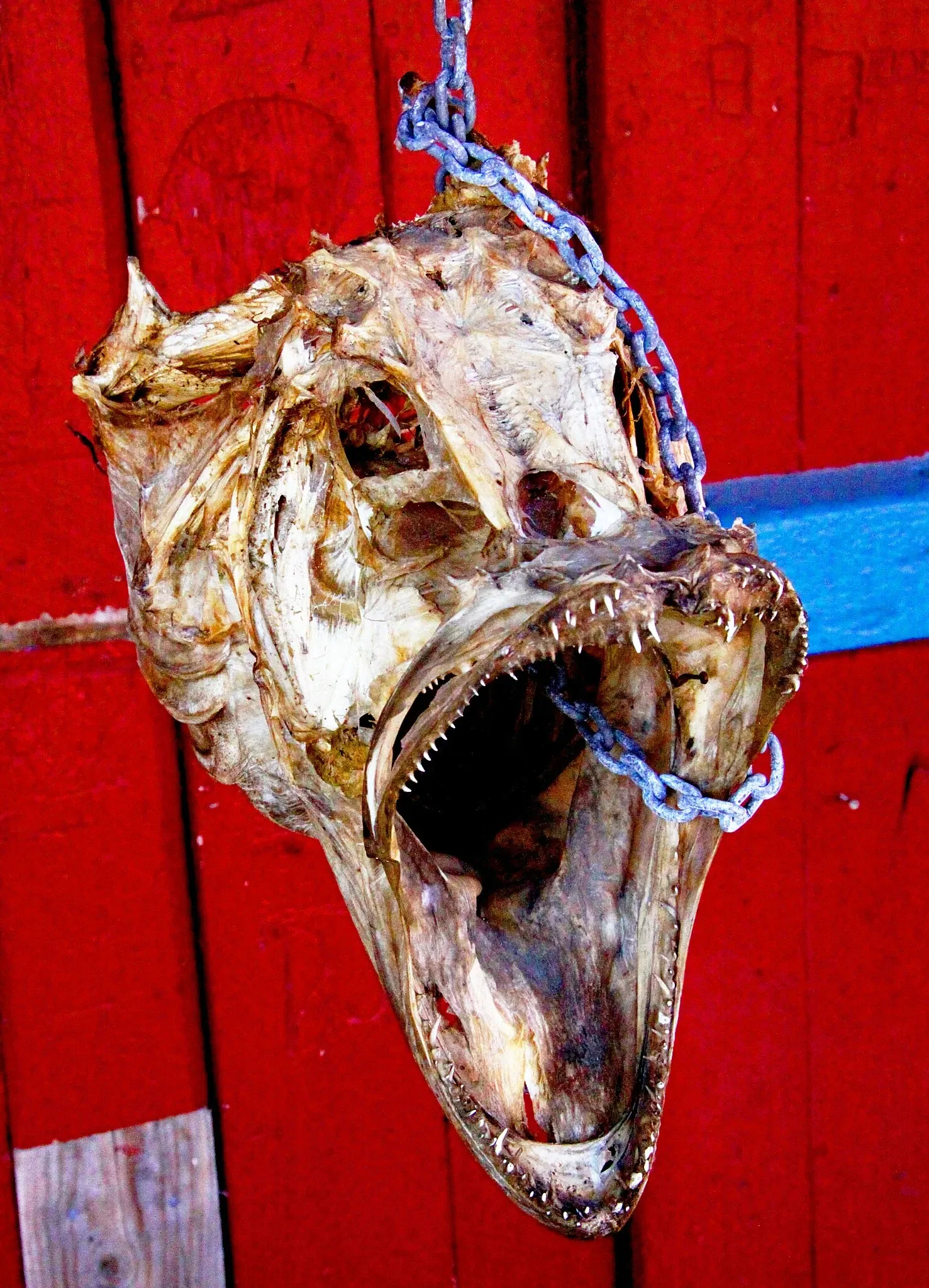 Norwegian Fishing Village Museum