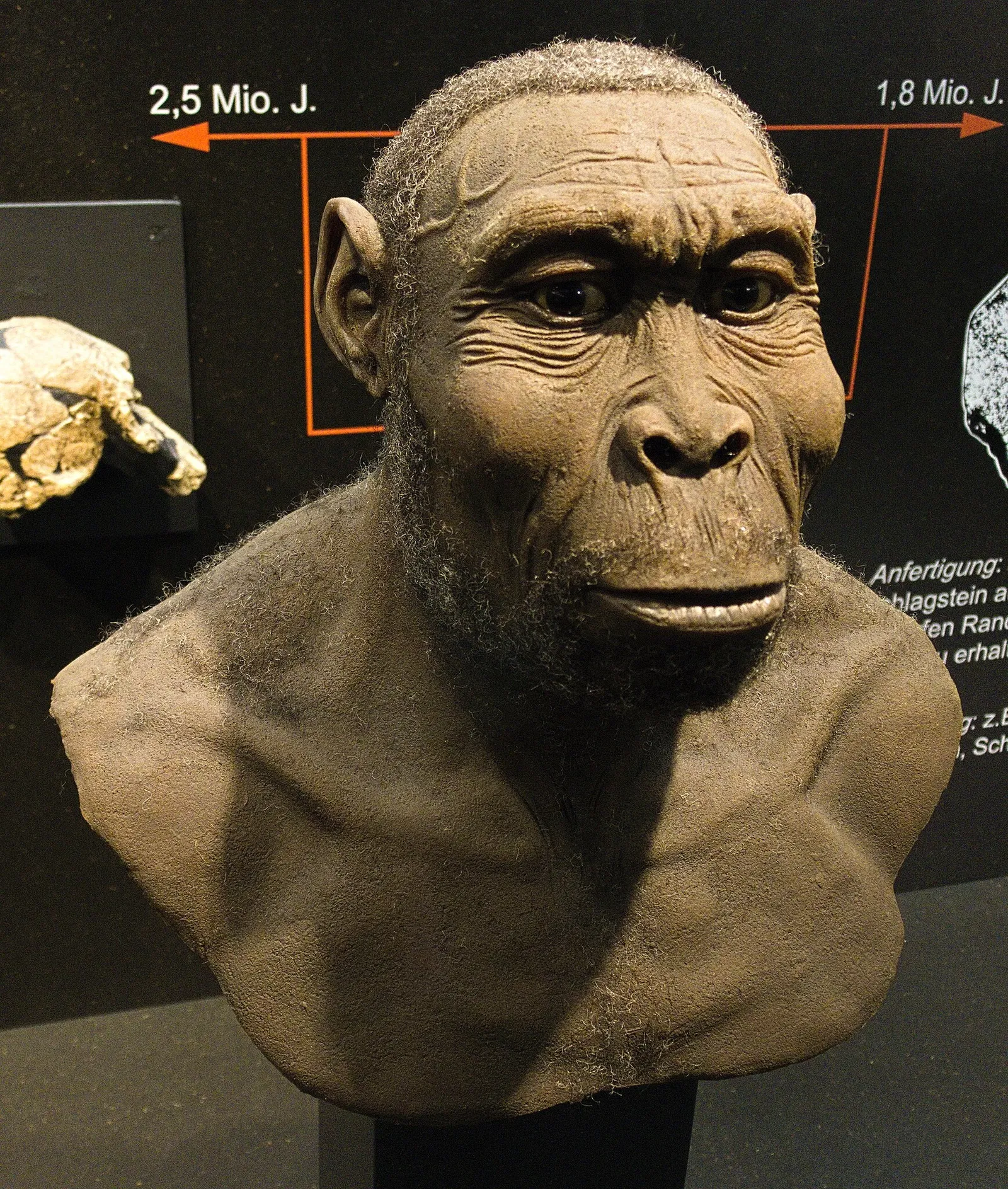 KULTURAMA Museum of Human Evolution