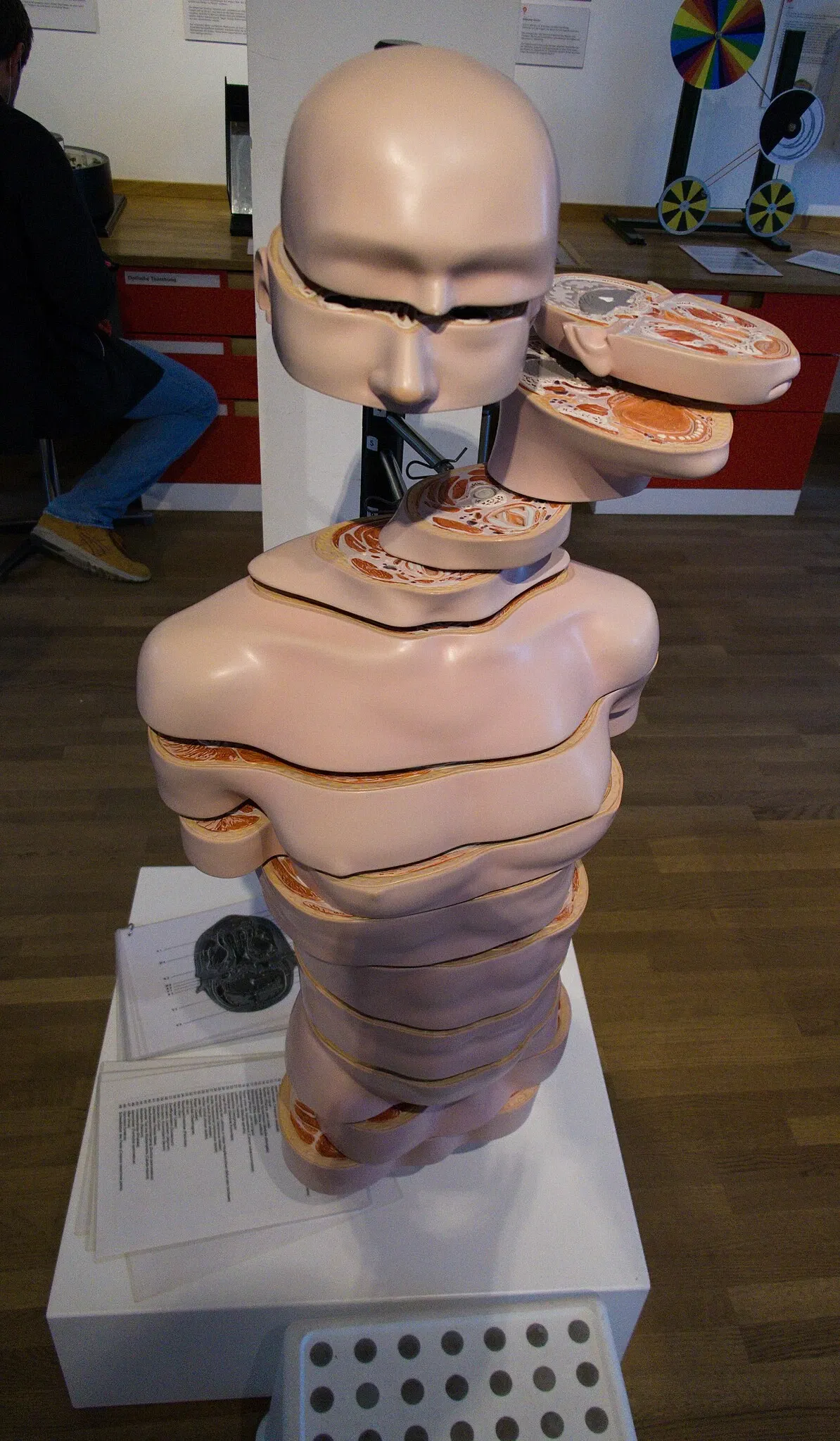 KULTURAMA Museum of Human Evolution