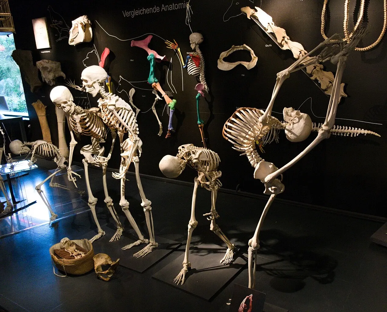 KULTURAMA Museum of Human Evolution