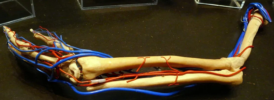 KULTURAMA Museum des Menschen