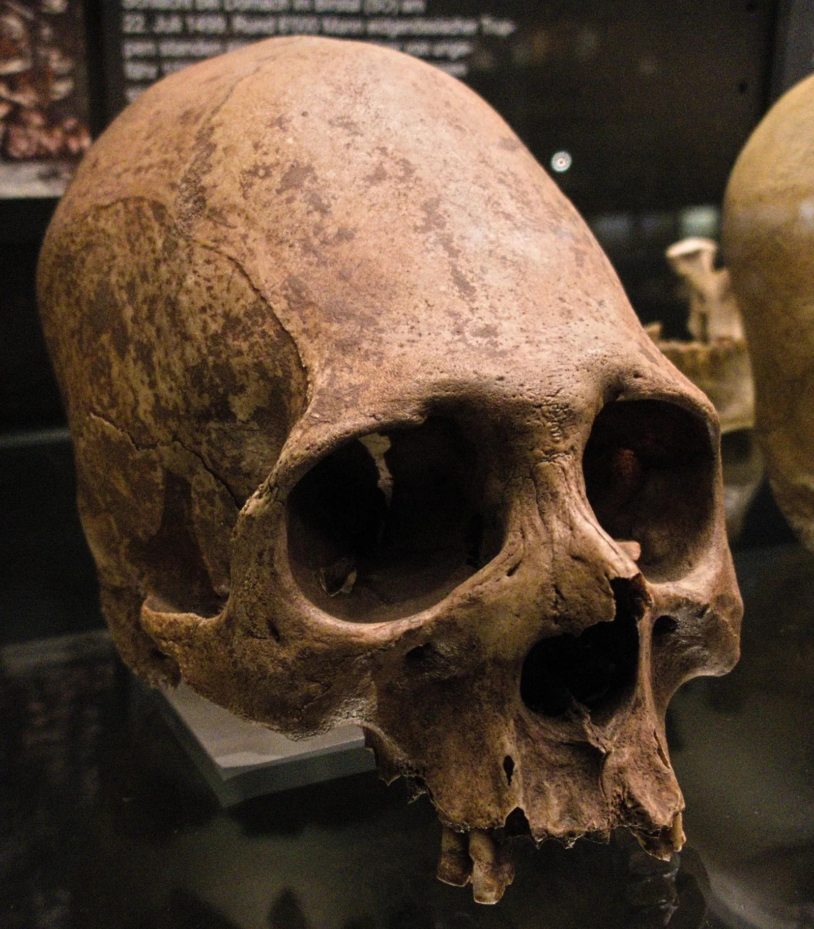 KULTURAMA Museum of Human Evolution