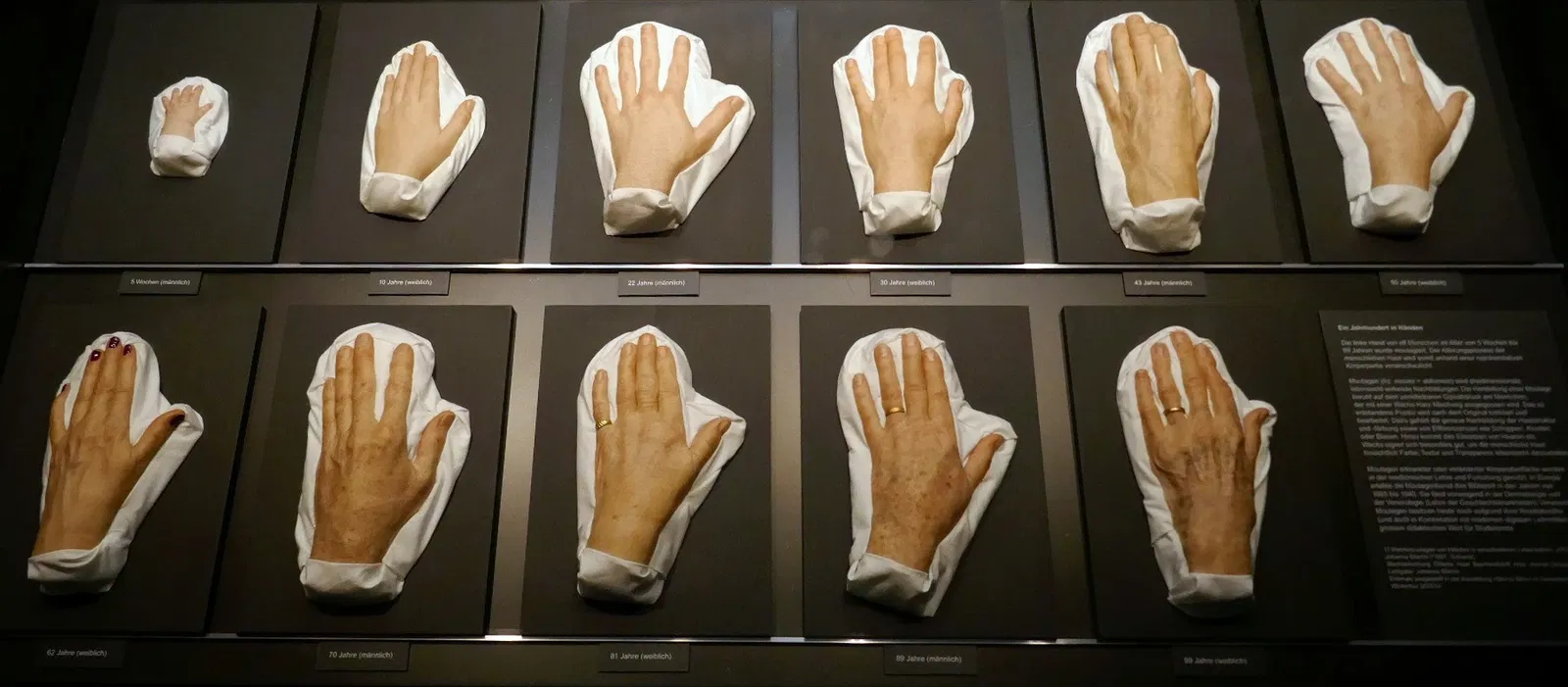 KULTURAMA Museum of Human Evolution