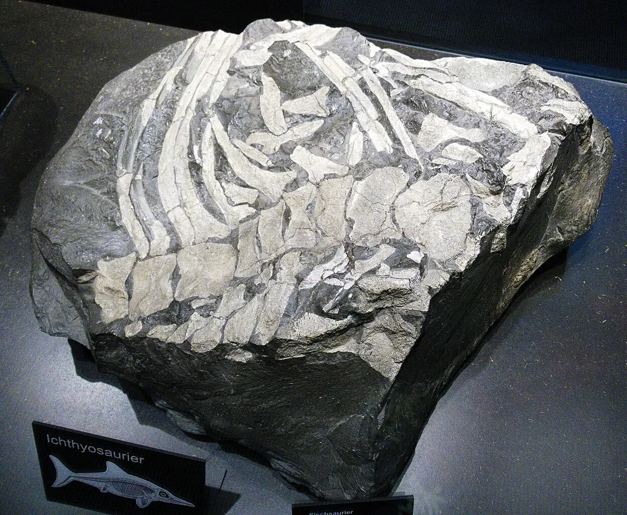 KULTURAMA Museum of Human Evolution