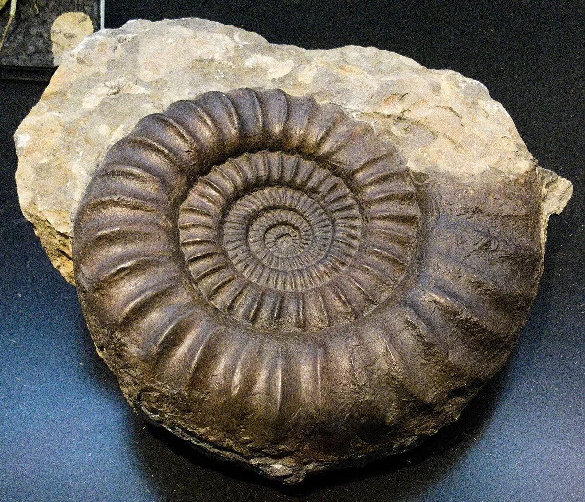 KULTURAMA Museum des Menschen