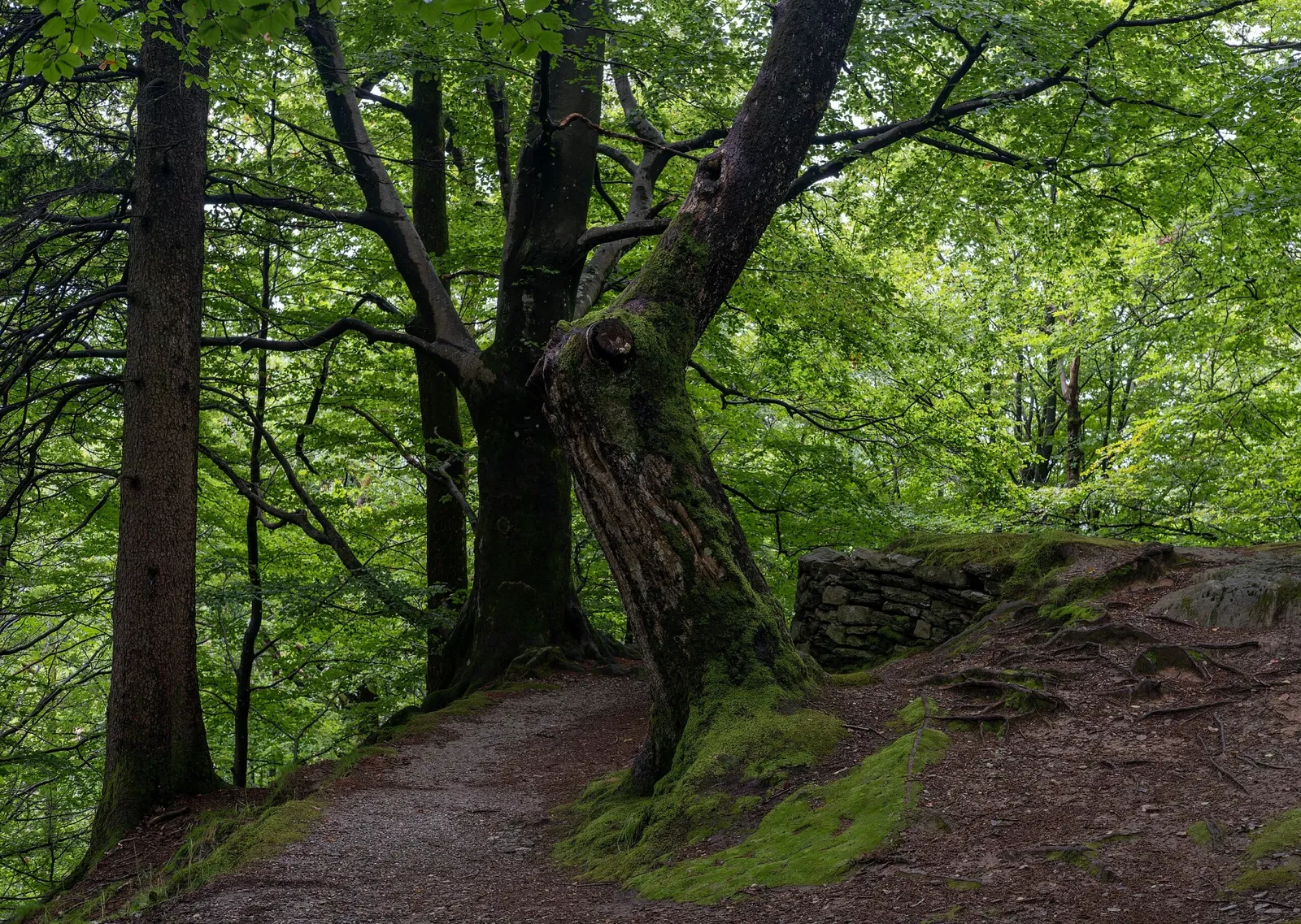 Stavkirke de Fantoft