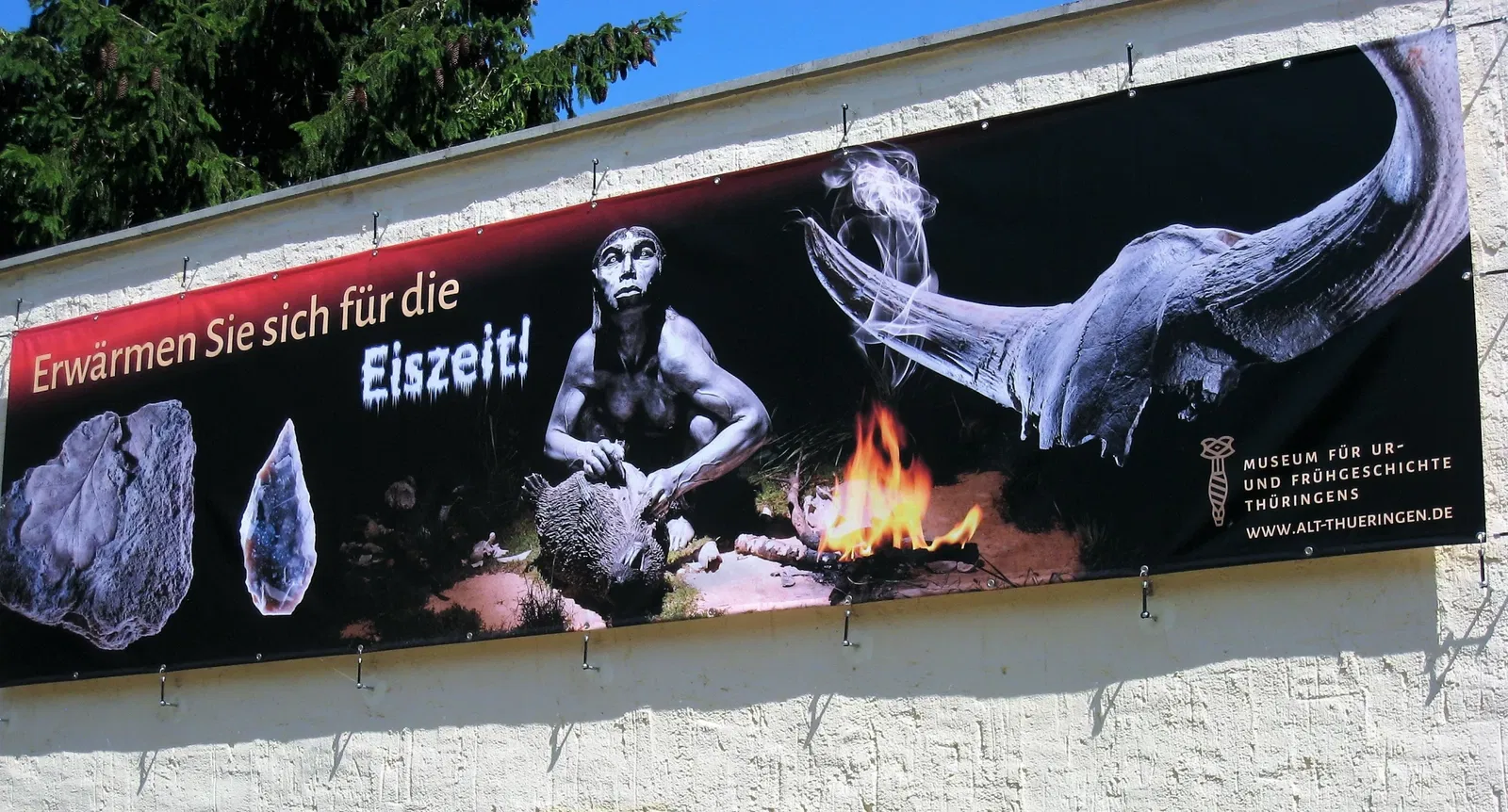 Museum of Prehistory and Early History of Thuringia