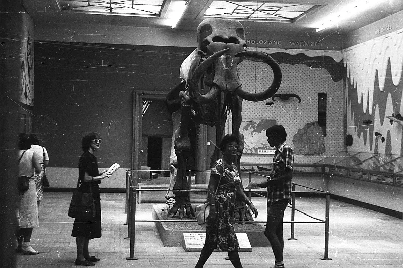 Museum für Ur-und Frühgeschichte Thüringens