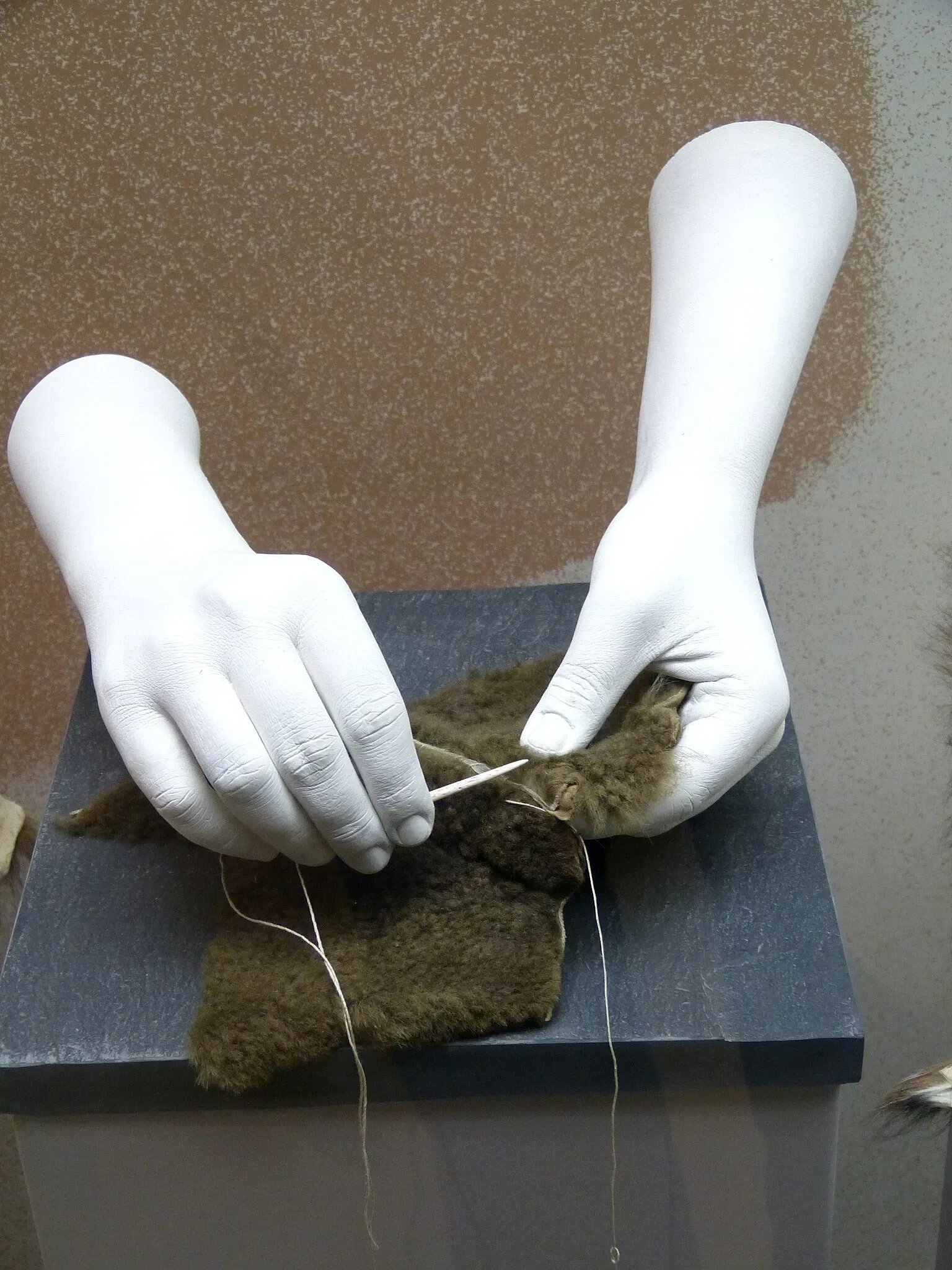 Museum of Prehistory and Early History of Thuringia