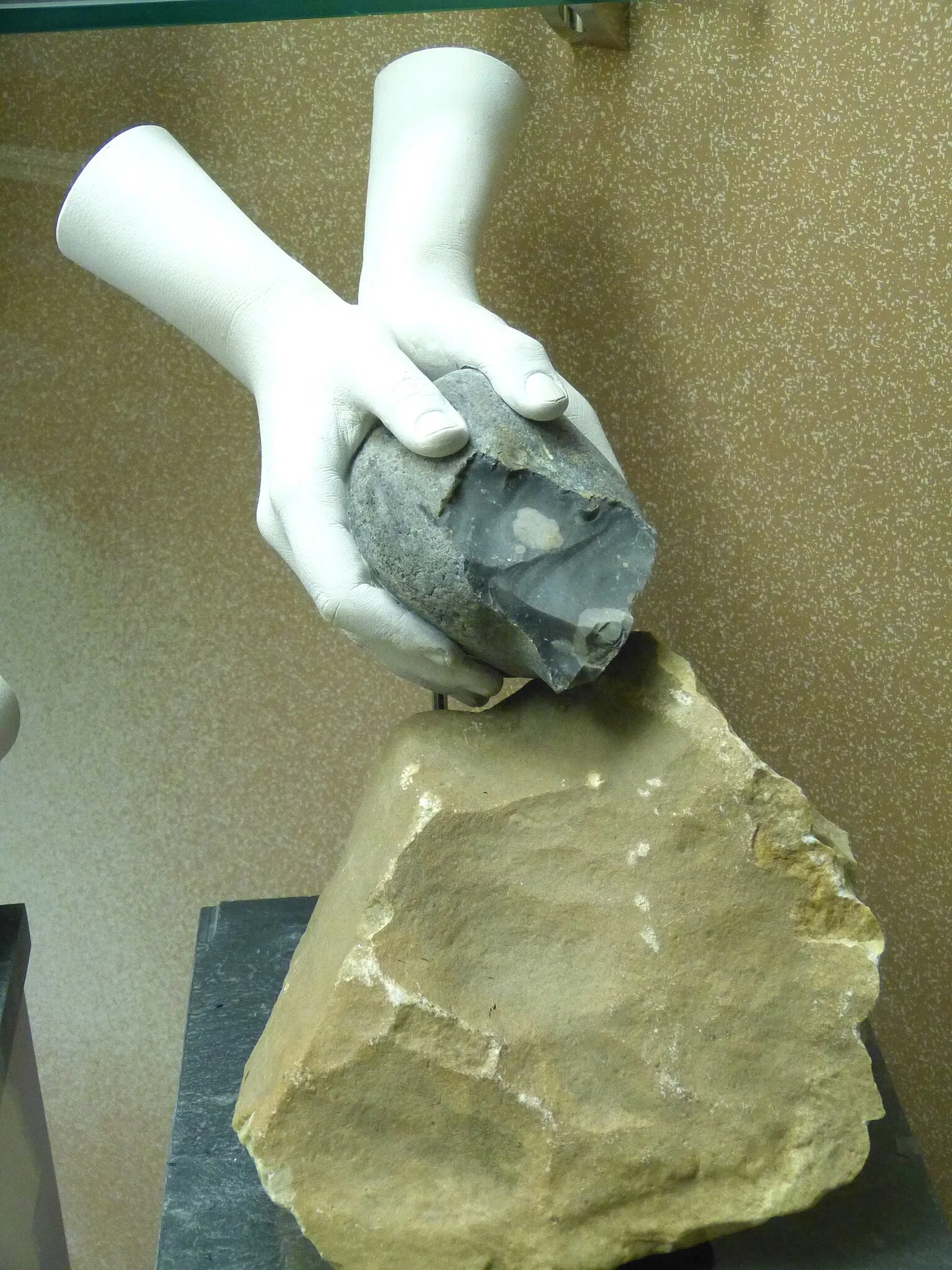 Museum für Ur-und Frühgeschichte Thüringens