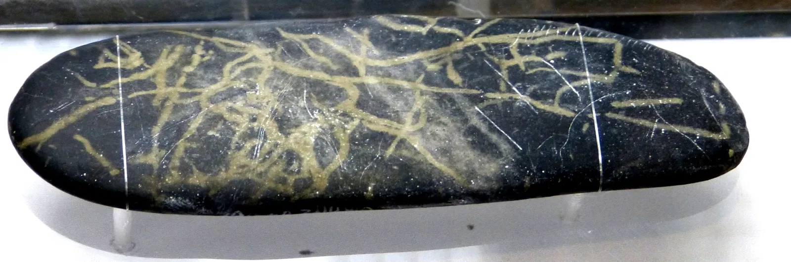 Museum für Ur-und Frühgeschichte Thüringens