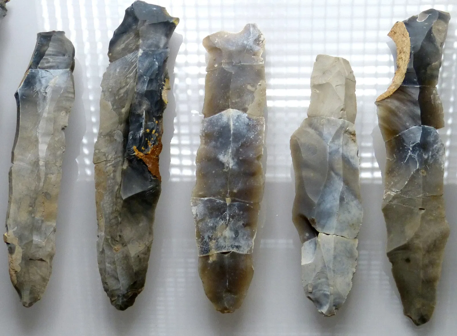 Museum für Ur-und Frühgeschichte Thüringens