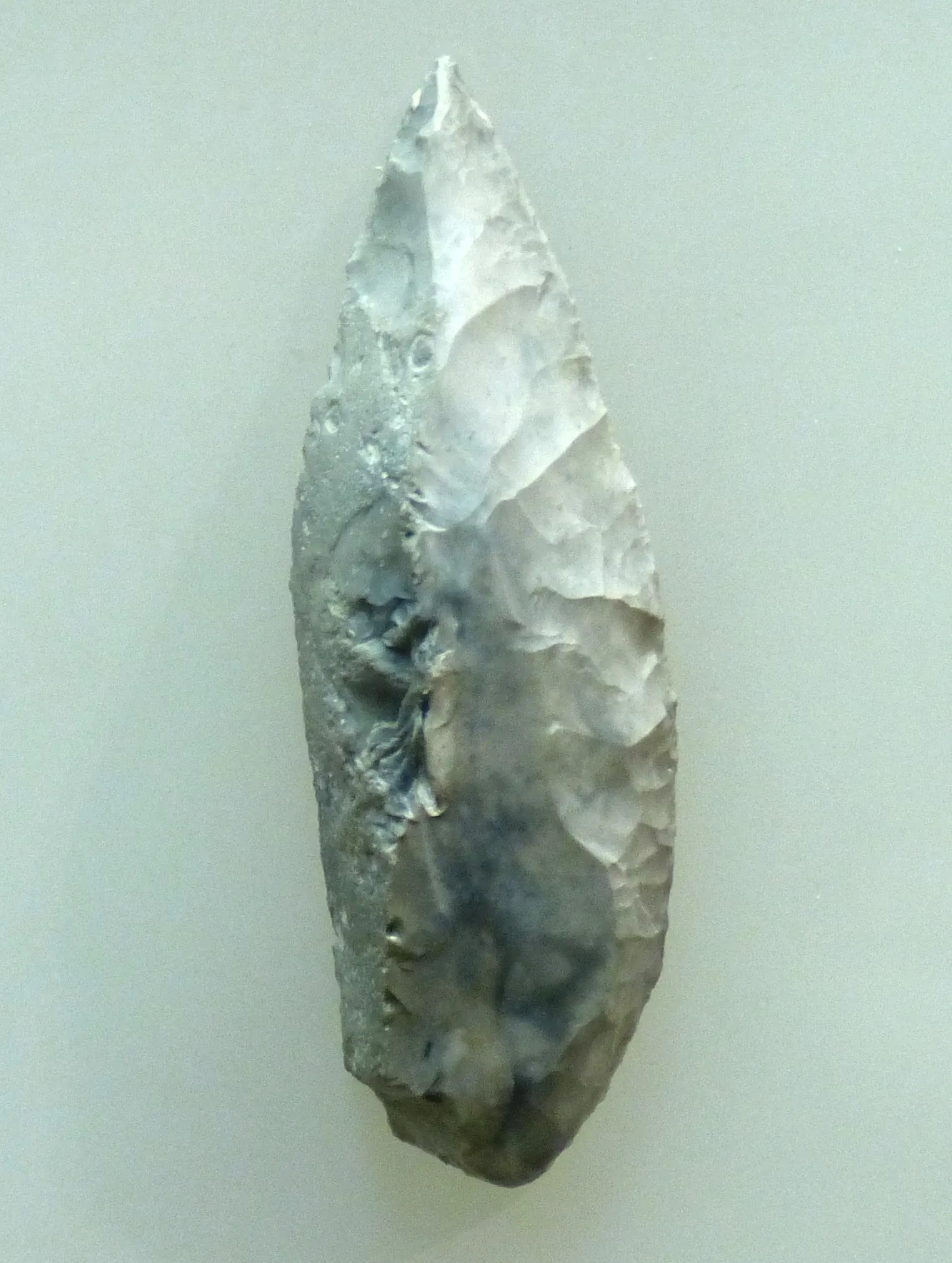 Museum of Prehistory and Early History of Thuringia