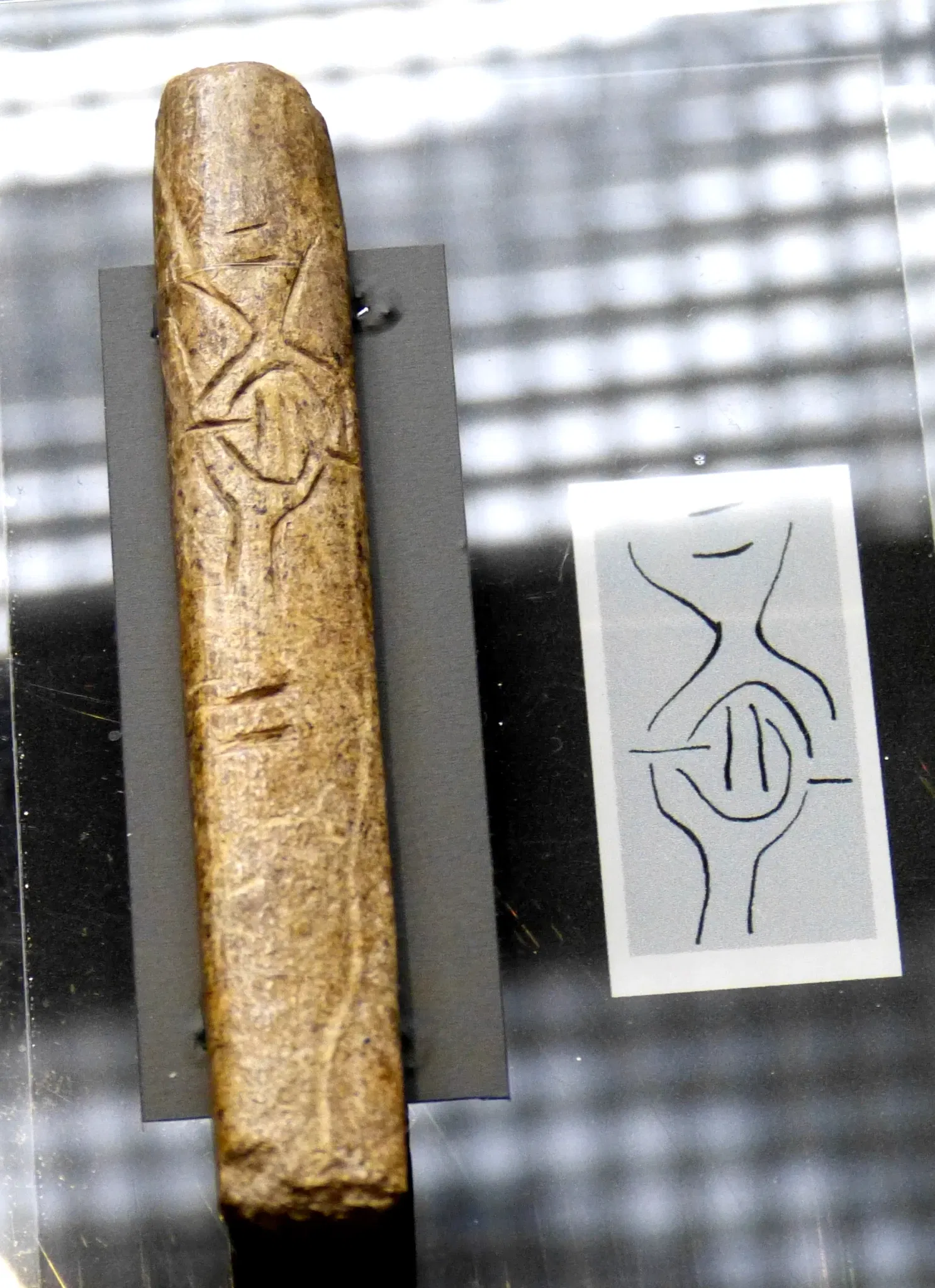 Museum of Prehistory and Early History of Thuringia