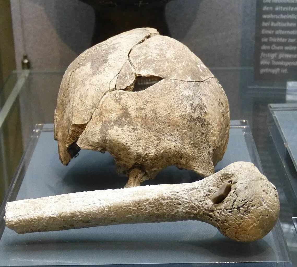 Museum für Ur-und Frühgeschichte Thüringens