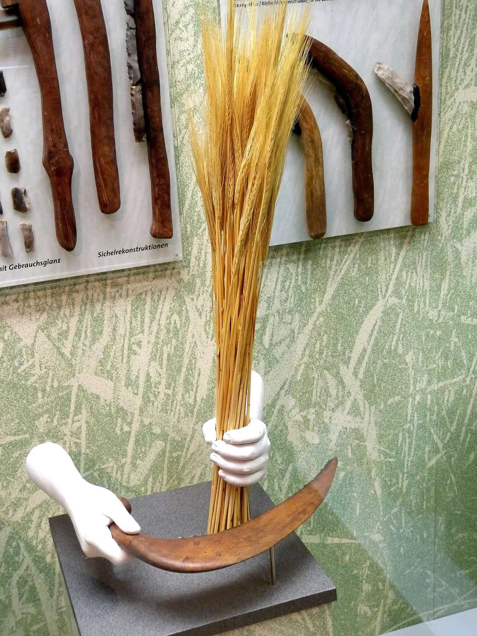 Museum of Prehistory and Early History of Thuringia