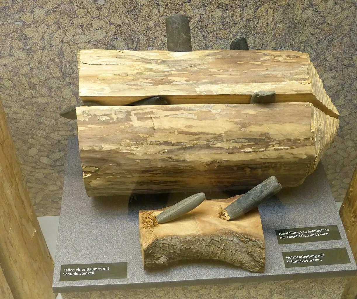 Museum of Prehistory and Early History of Thuringia