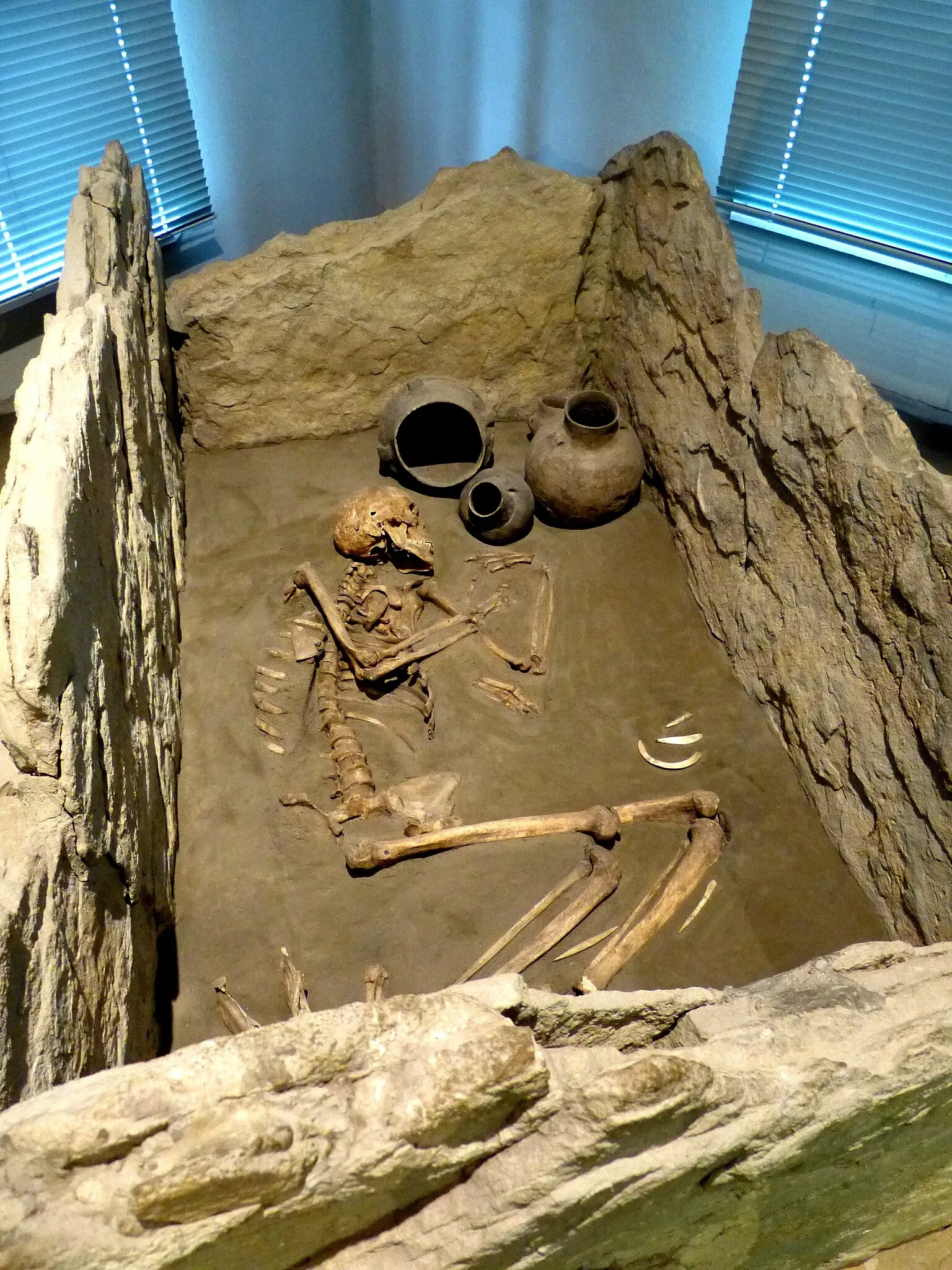 Museum für Ur-und Frühgeschichte Thüringens