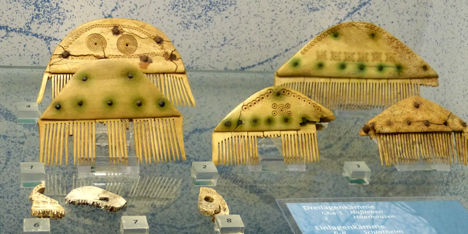 Museum für Ur-und Frühgeschichte Thüringens