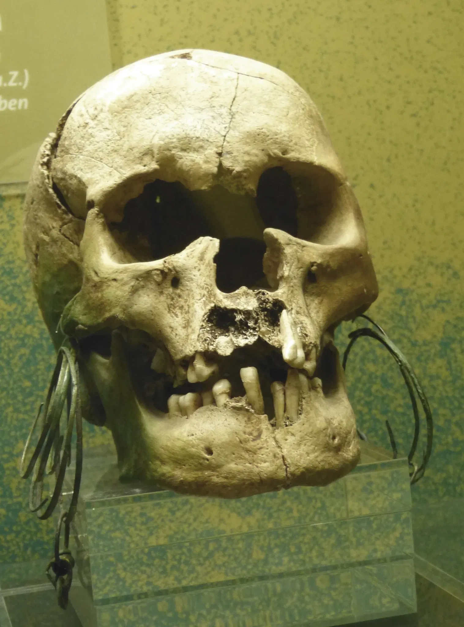 Museum of Prehistory and Early History of Thuringia