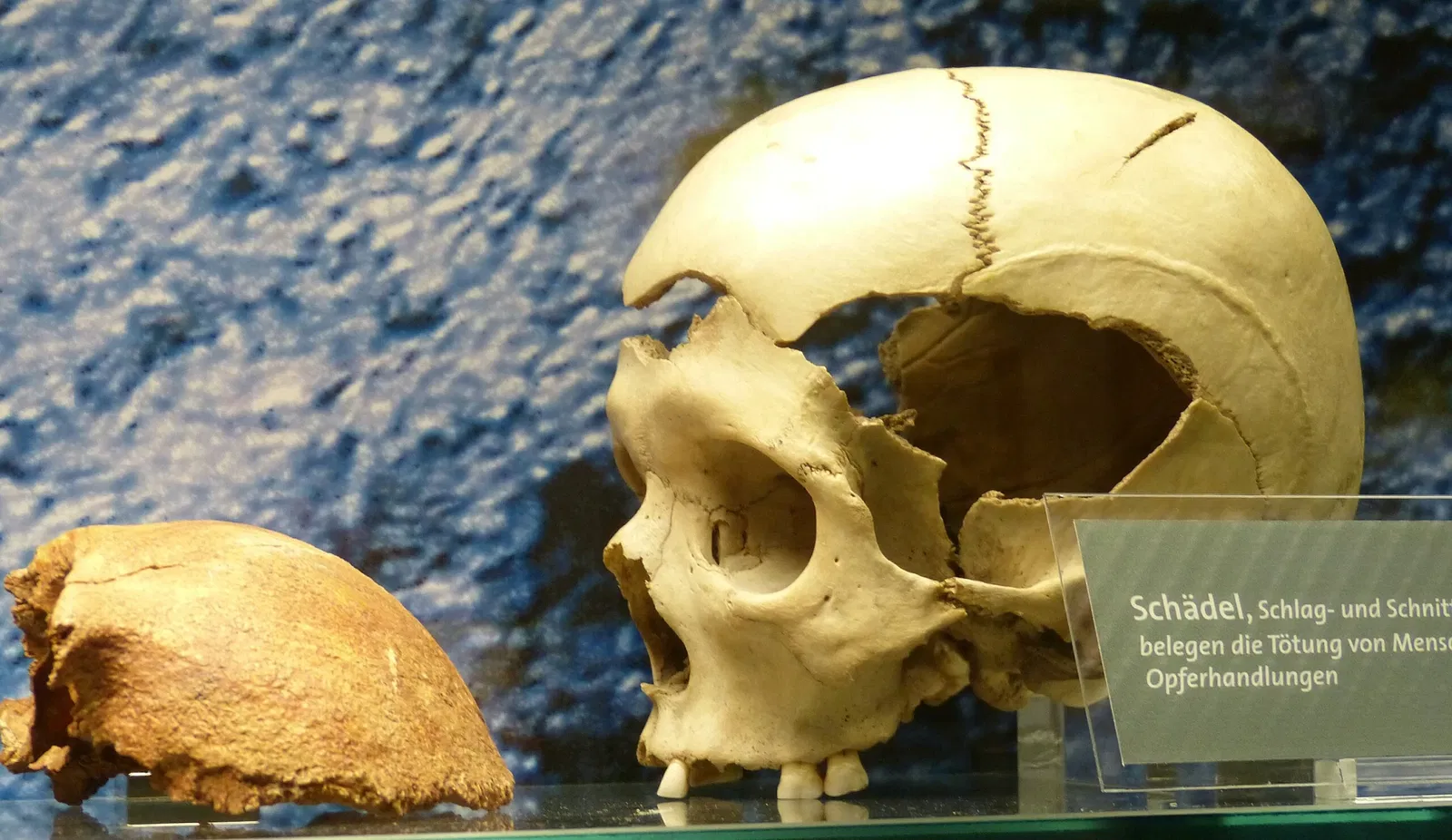 Museum für Ur-und Frühgeschichte Thüringens