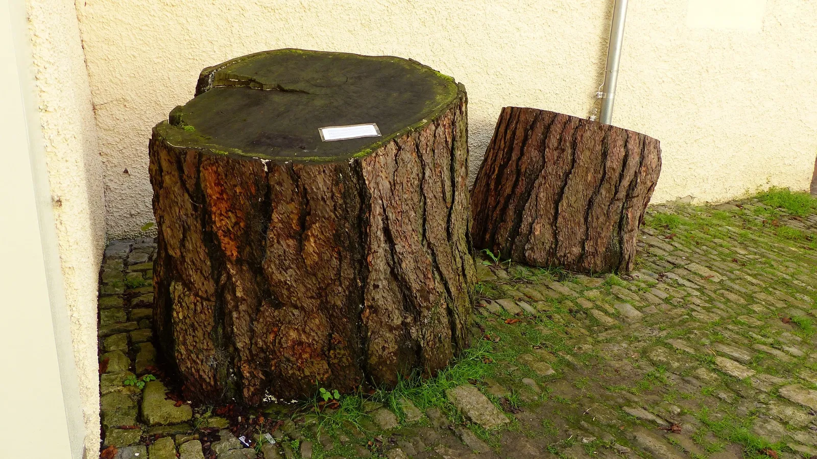 Tiefurt Mansion and Park