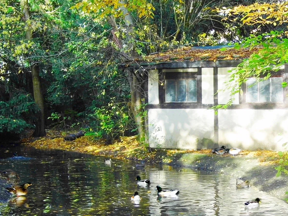 Zoologischer Stadtgarten