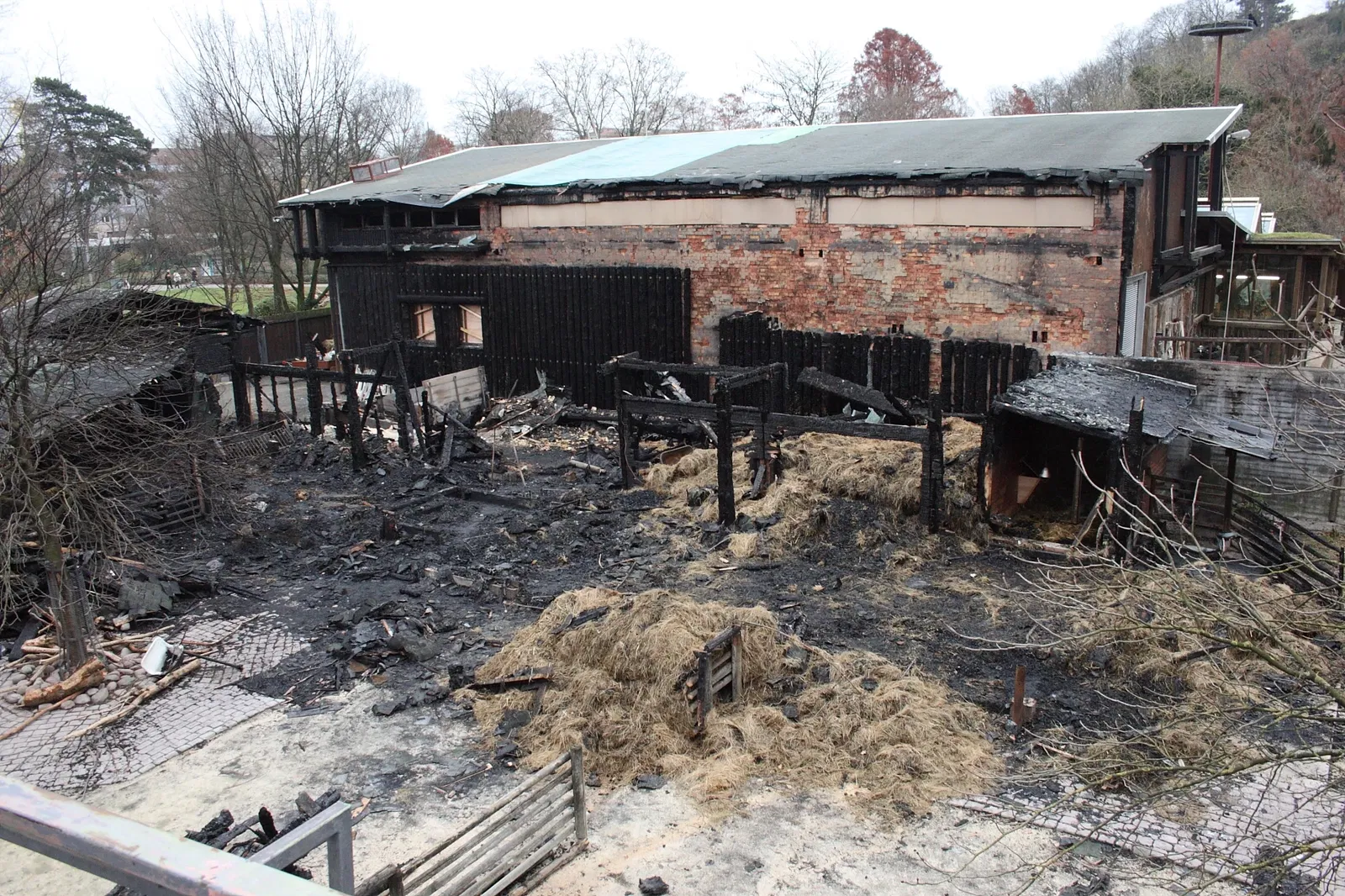 Zoologischer Stadtgarten