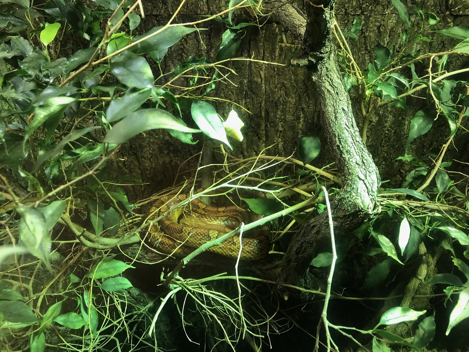 Zoologischer Stadtgarten