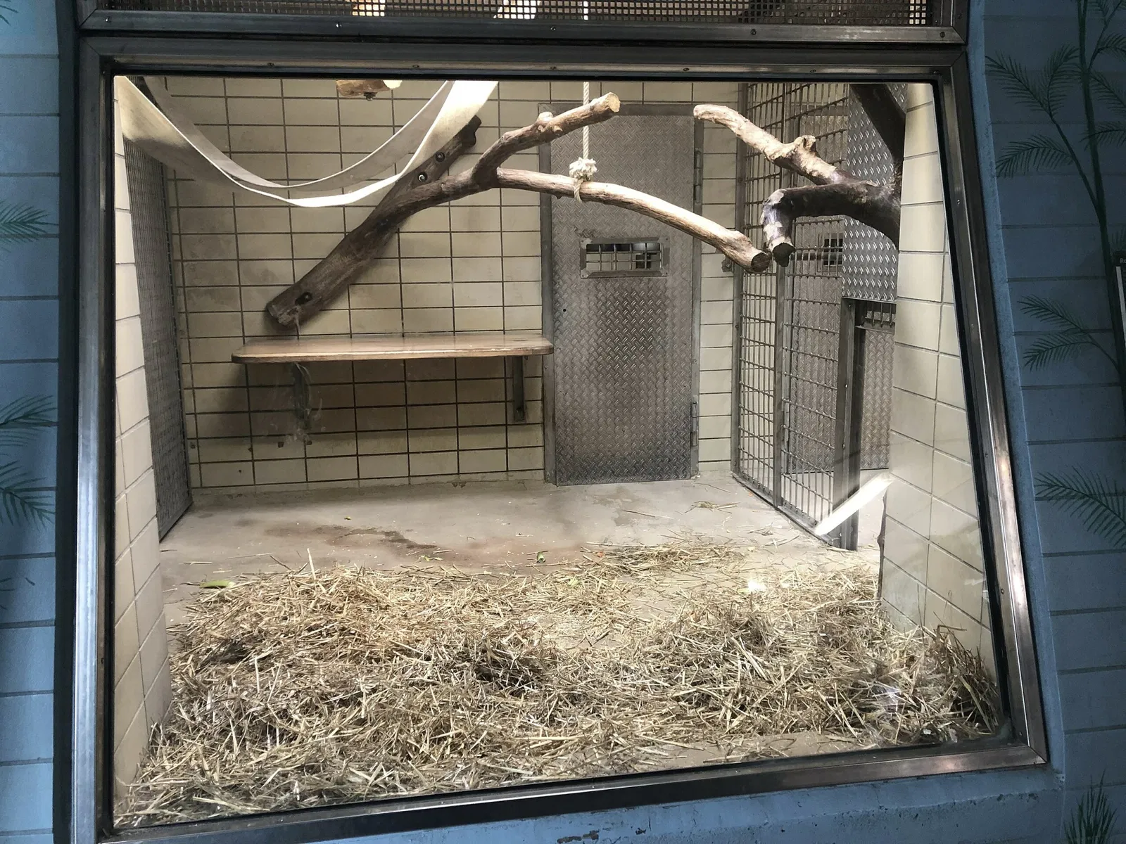 Zoologischer Stadtgarten