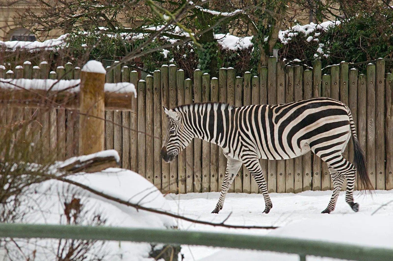 Zoologischer Stadtgarten