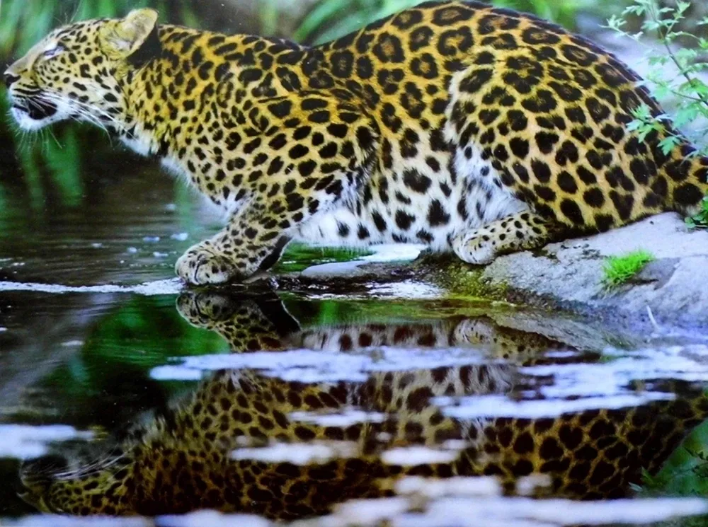 Zoologischer Stadtgarten