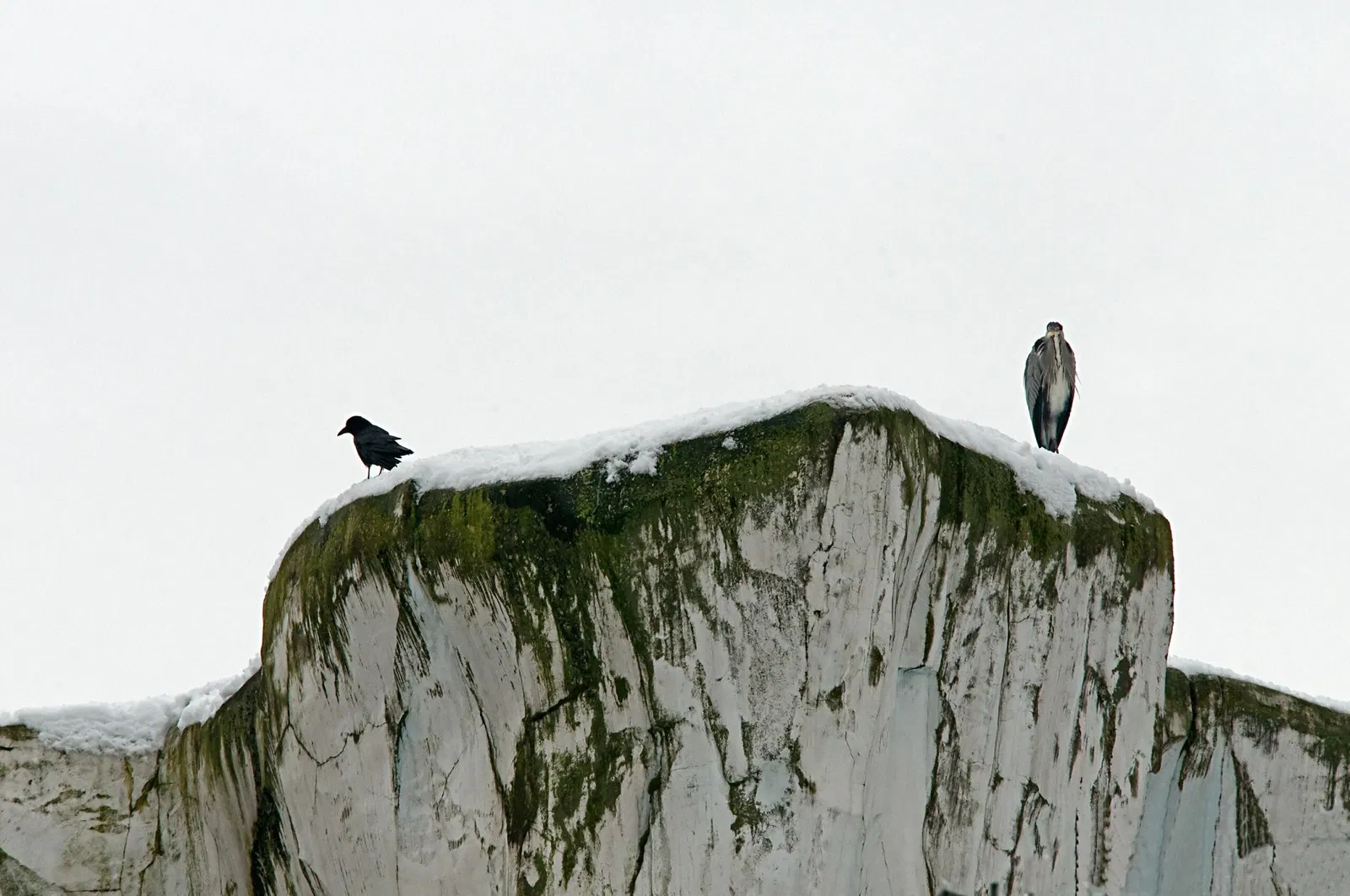 Zoologischer Stadtgarten