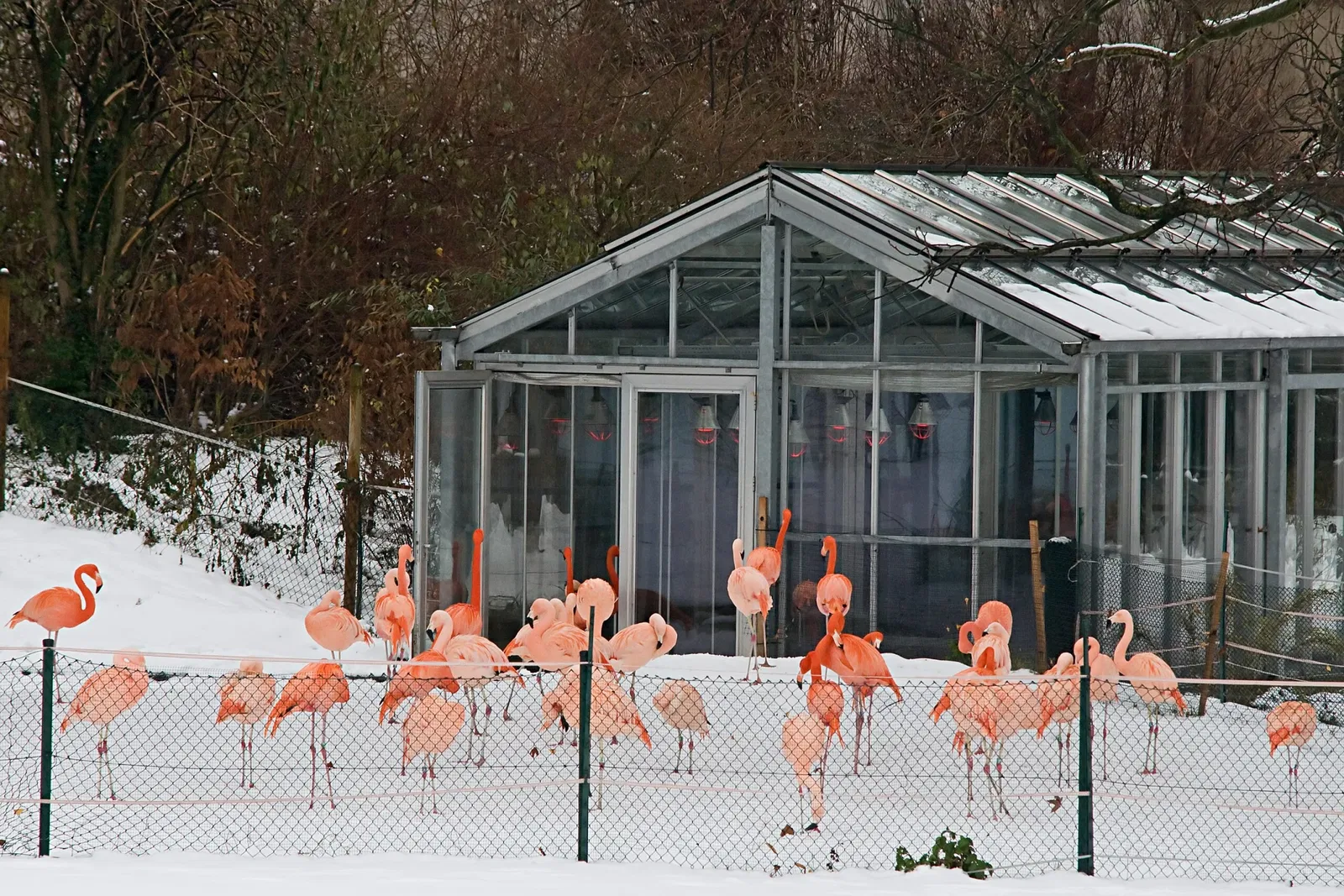 Zoologischer Stadtgarten