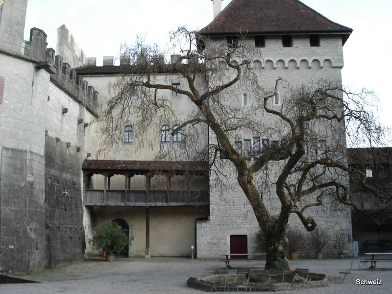Château de Lenzbourg