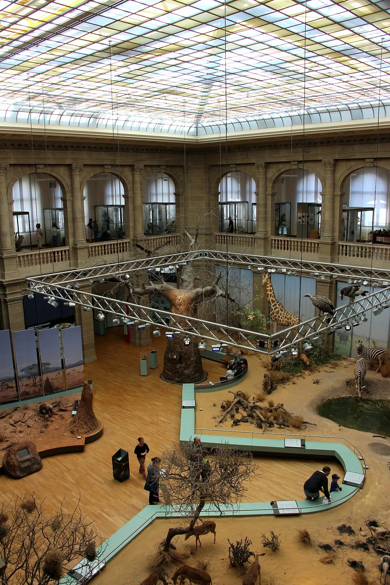 Musée Alexander-Koenig