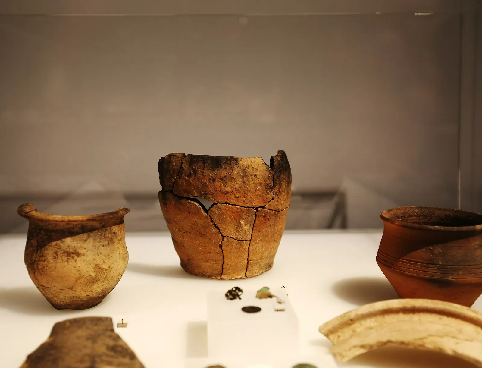 Rheinisches Landesmuseum