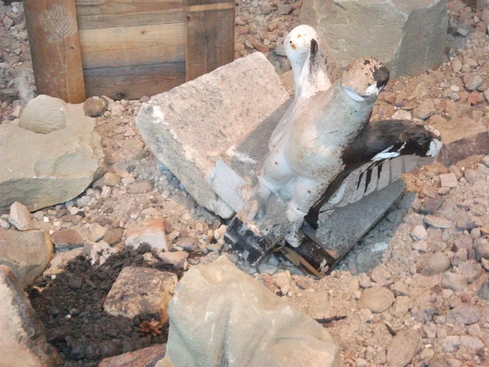 LVR-LandesMuseum Bonn