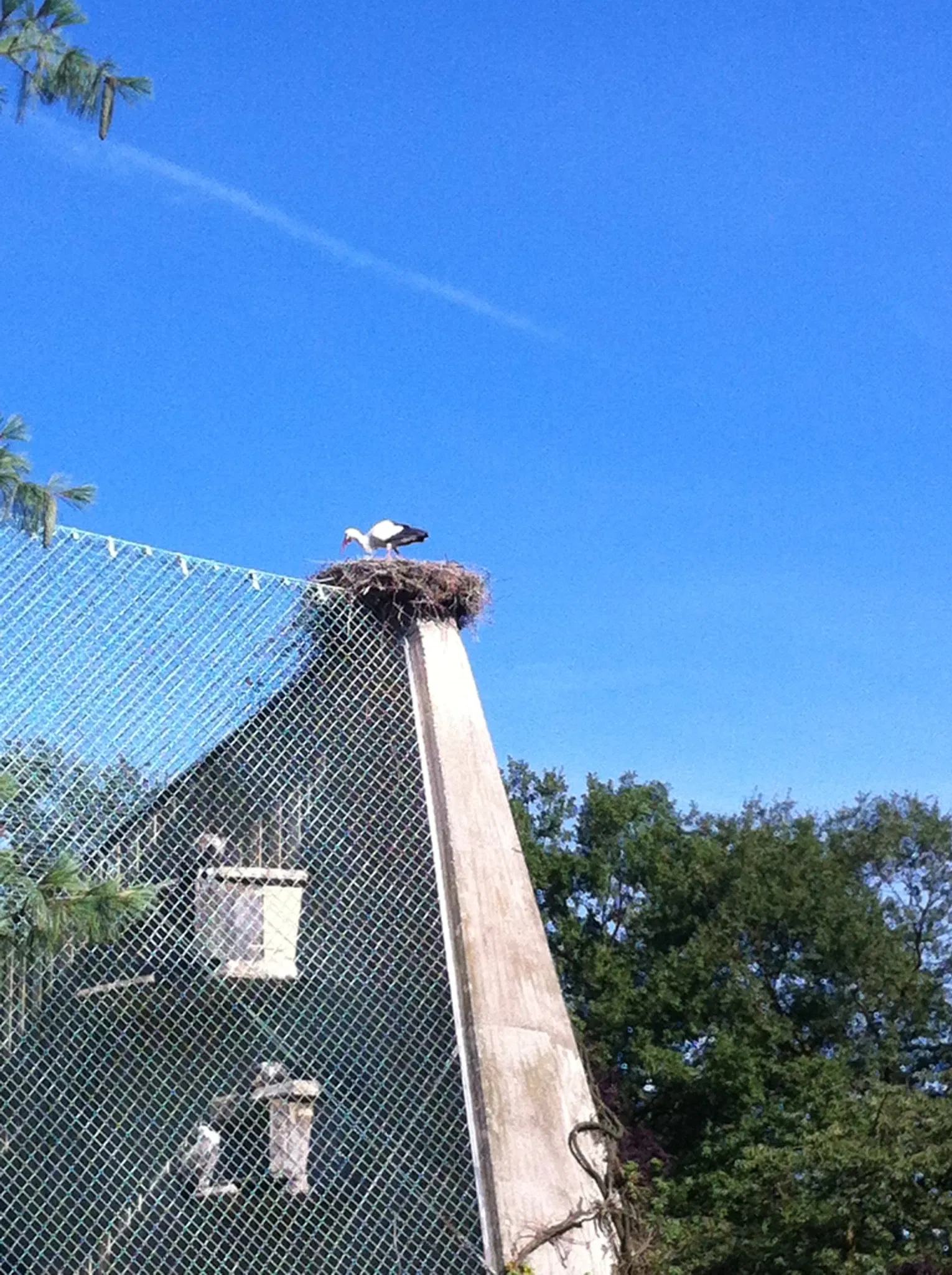 Allwetterzoo Münster