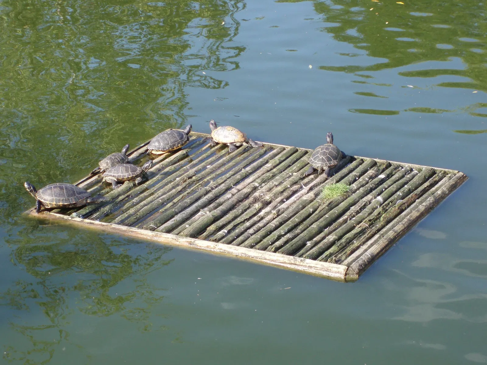 Allwetterzoo Münster
