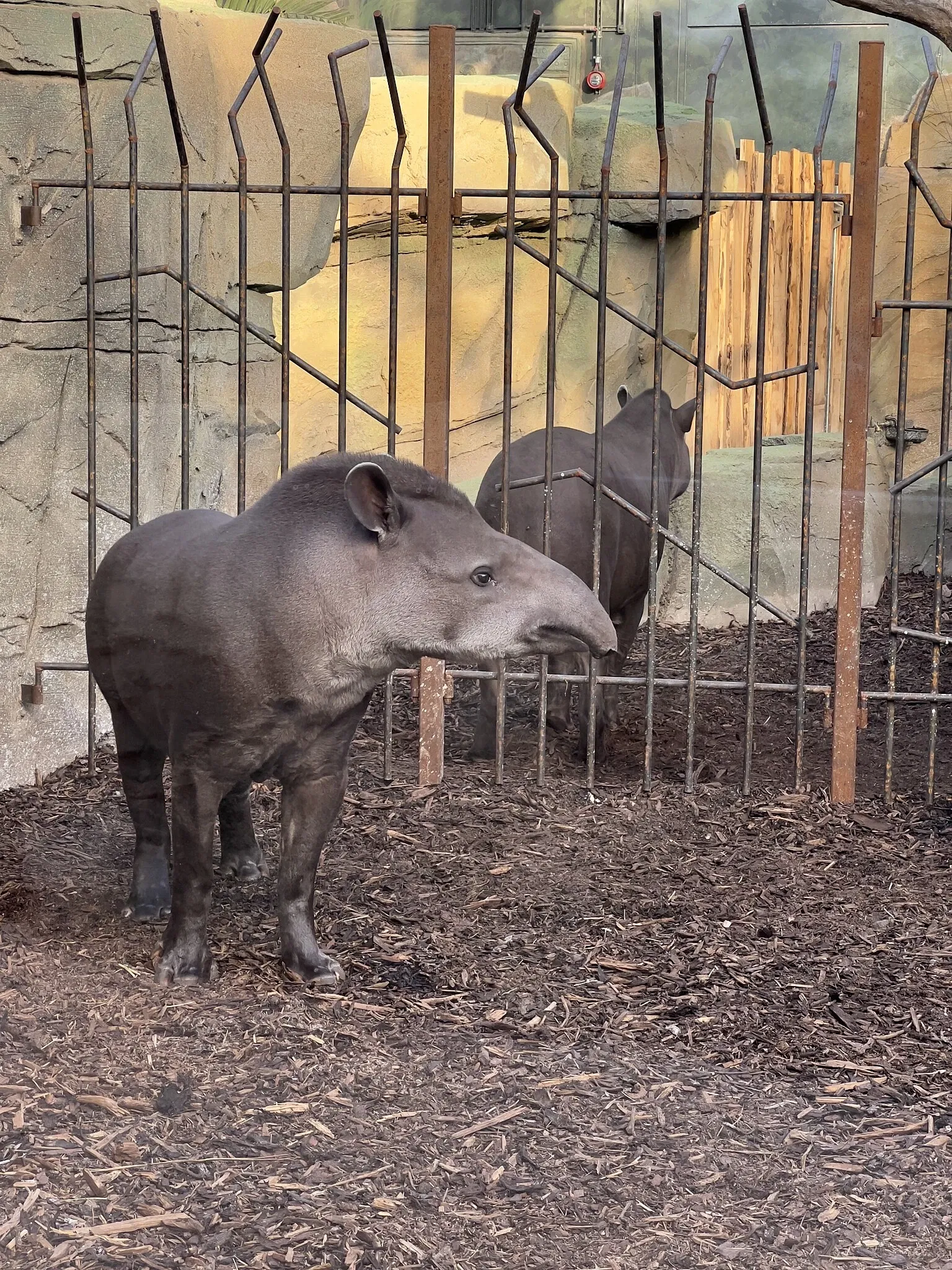 Allwetterzoo Münster
