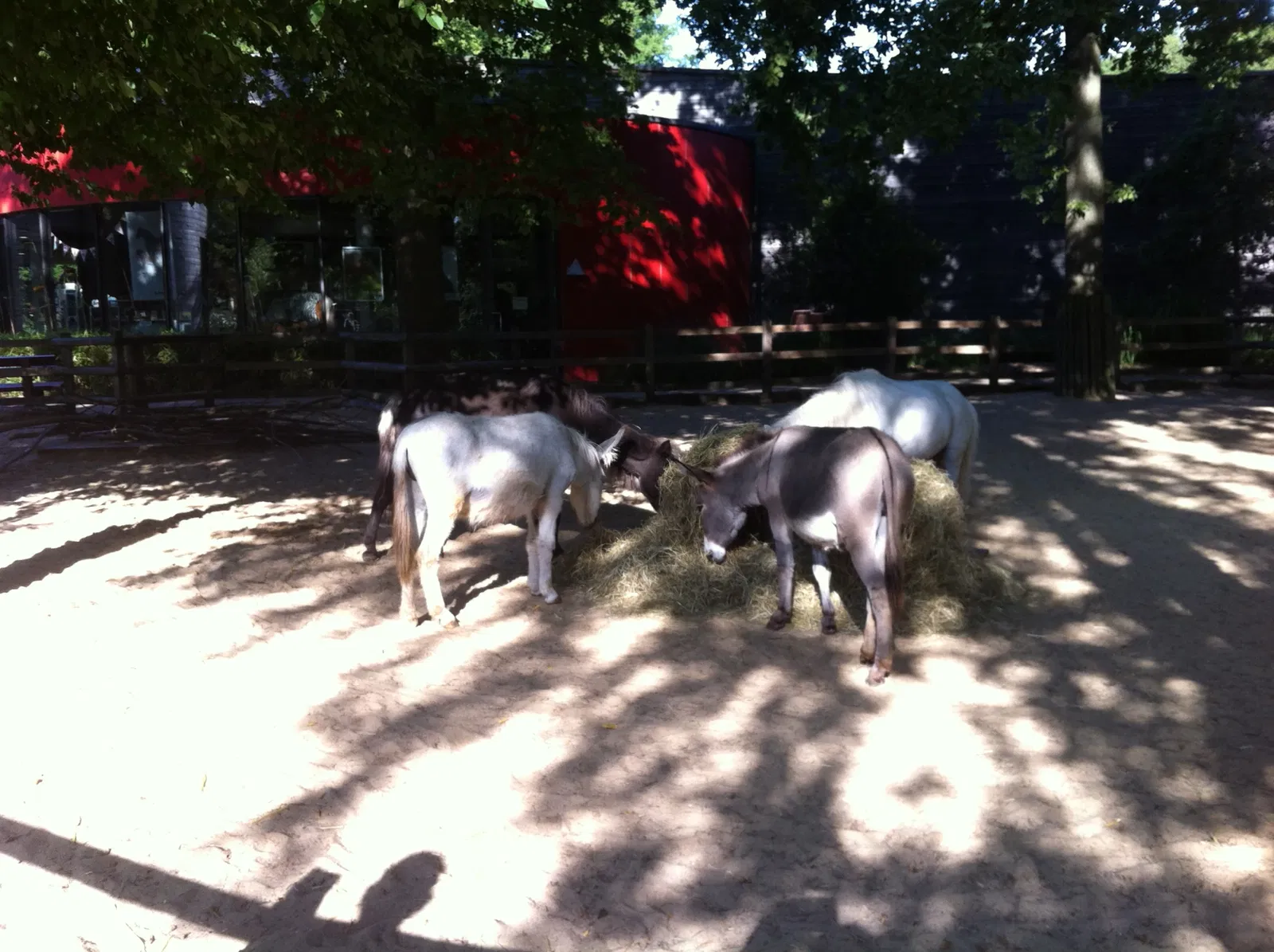 Allwetterzoo Münster