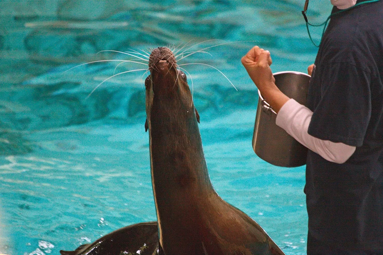 Allwetterzoo Münster