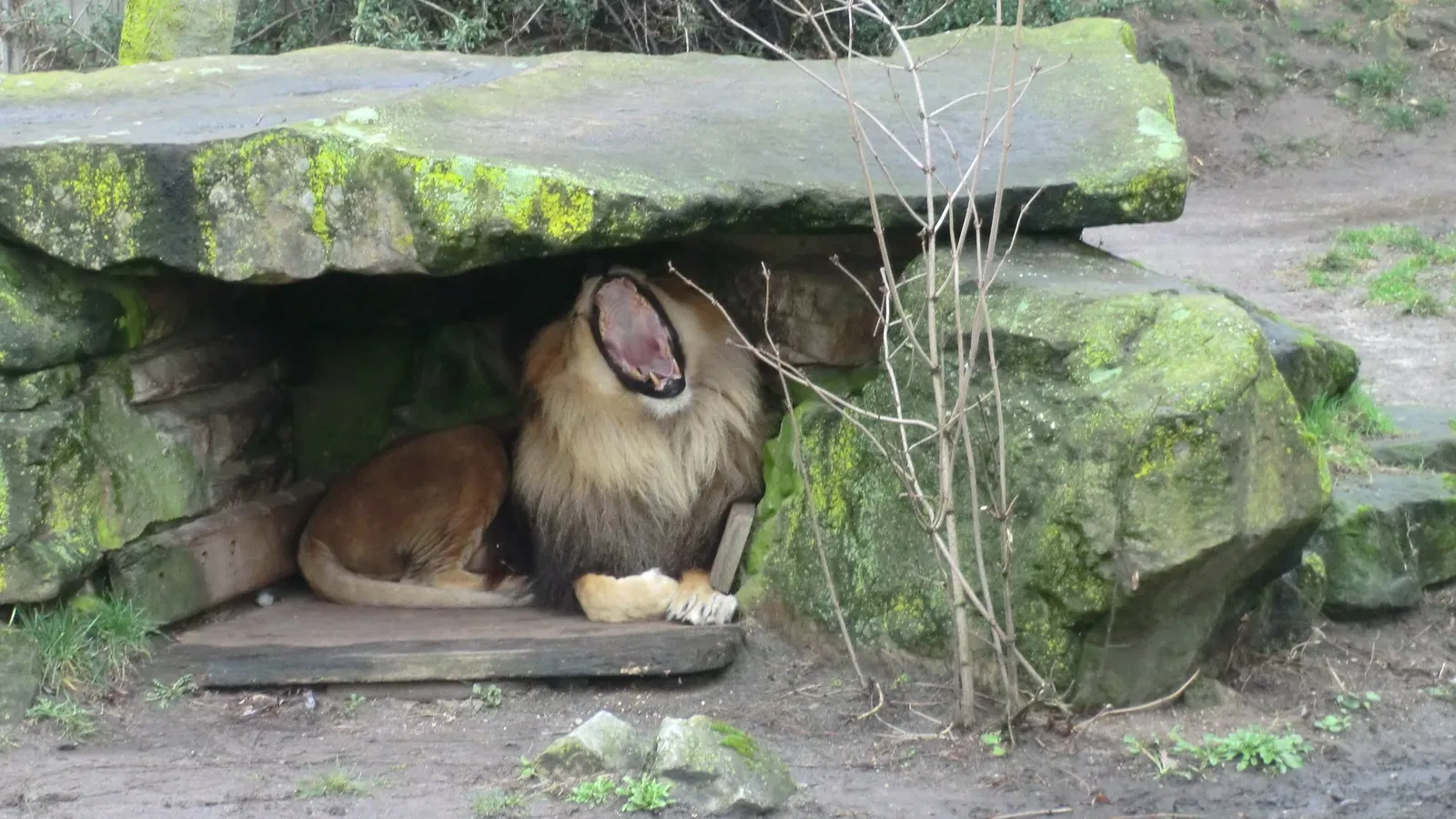 Allwetterzoo Münster