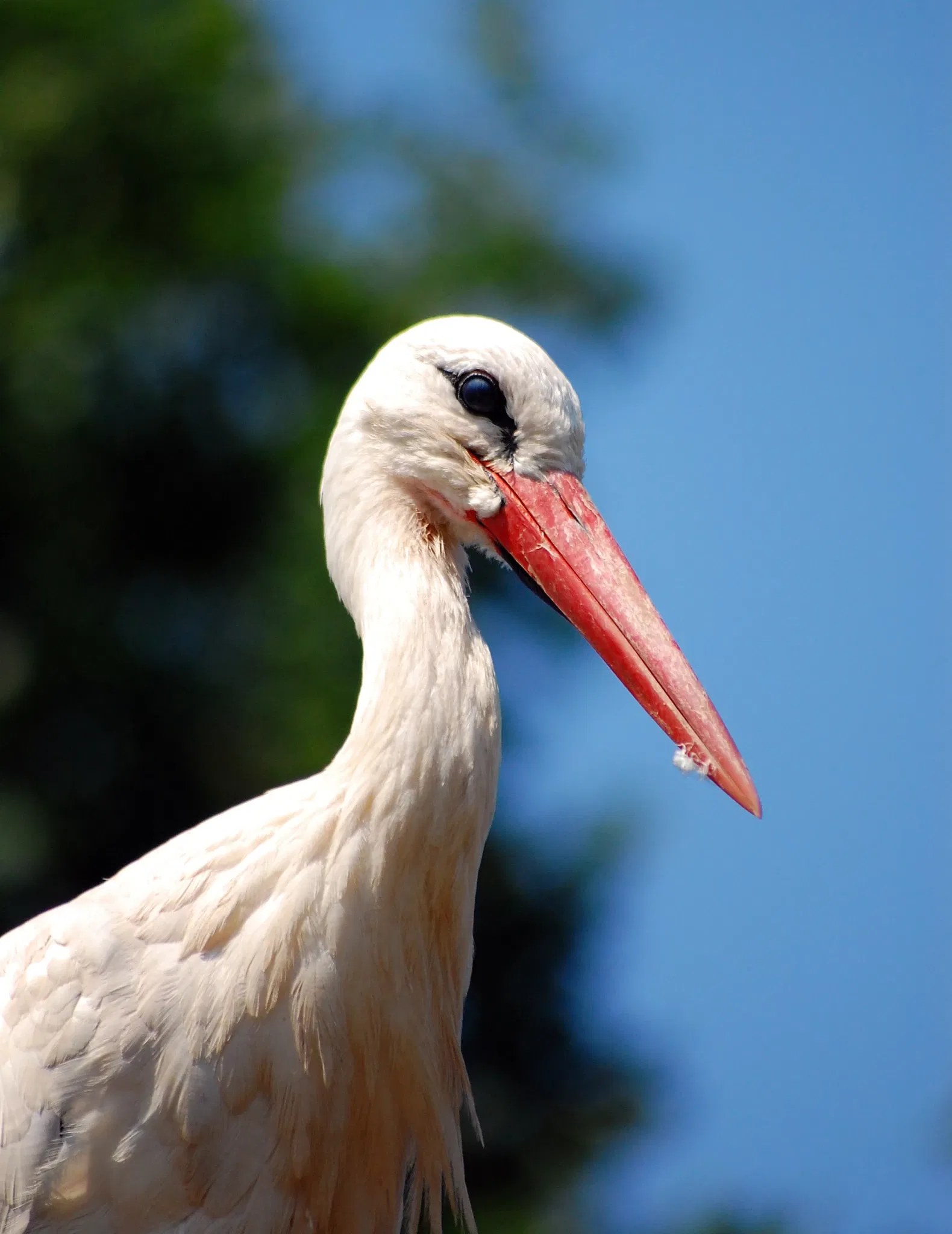 Allwetterzoo Münster