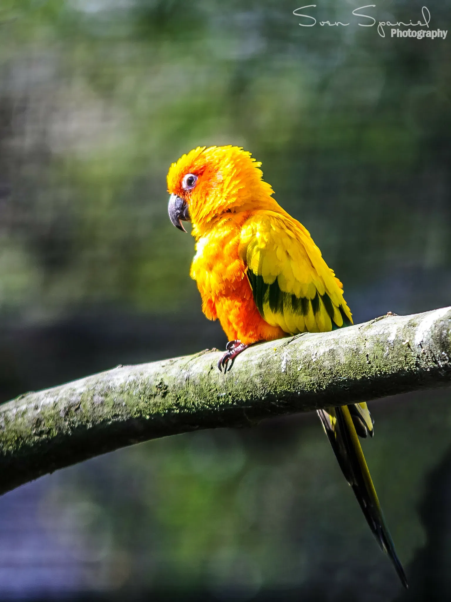 Allwetterzoo Münster