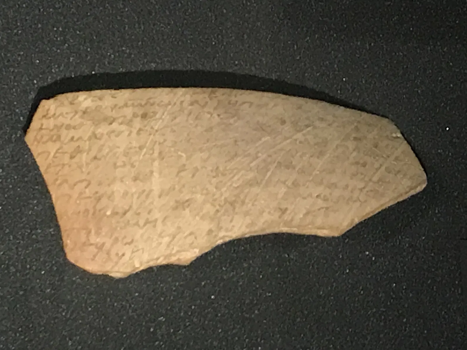 Bible Museum Münster