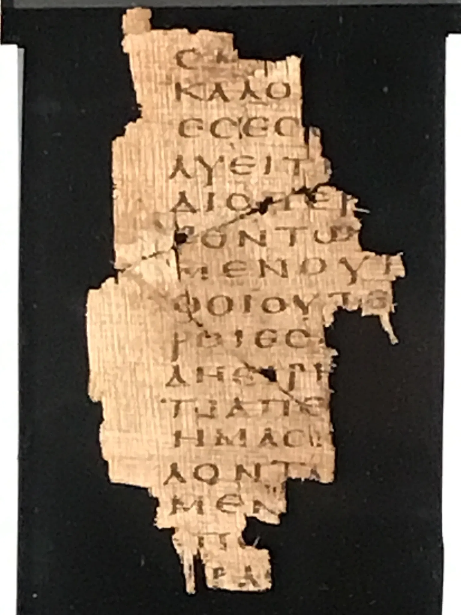 Bible Museum Münster