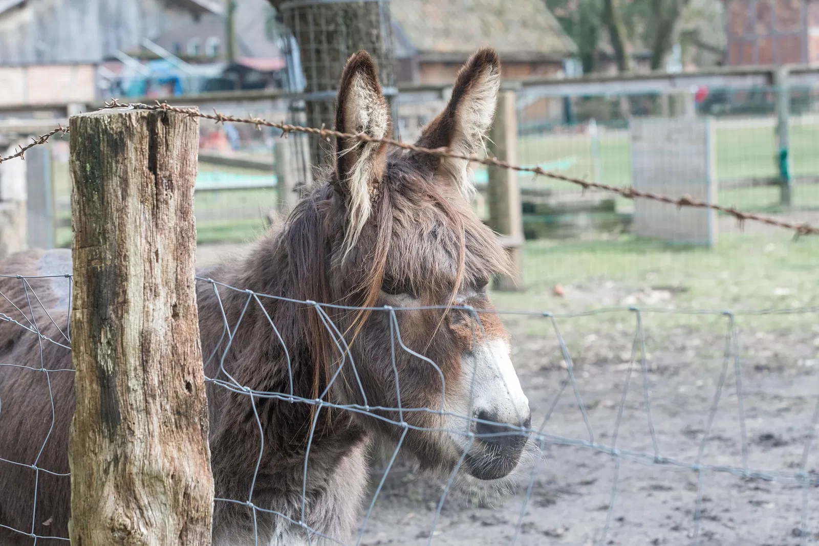 Mühlenhof Freilichtmuseum
