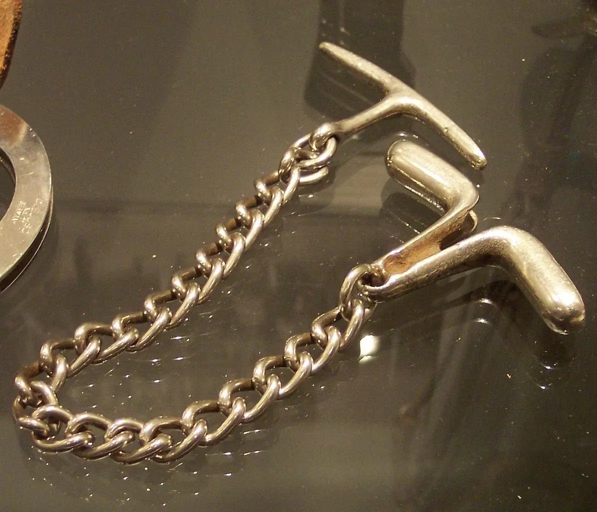 Westfälisches Pferdemuseum Münster